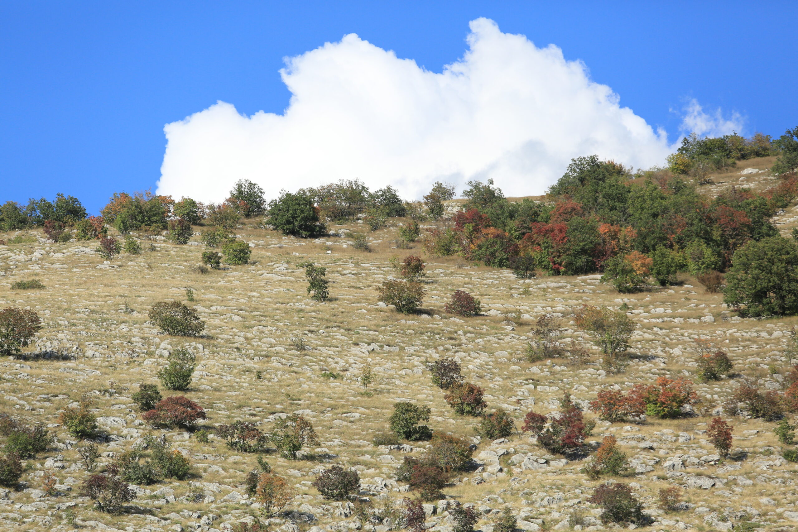 Környezet
