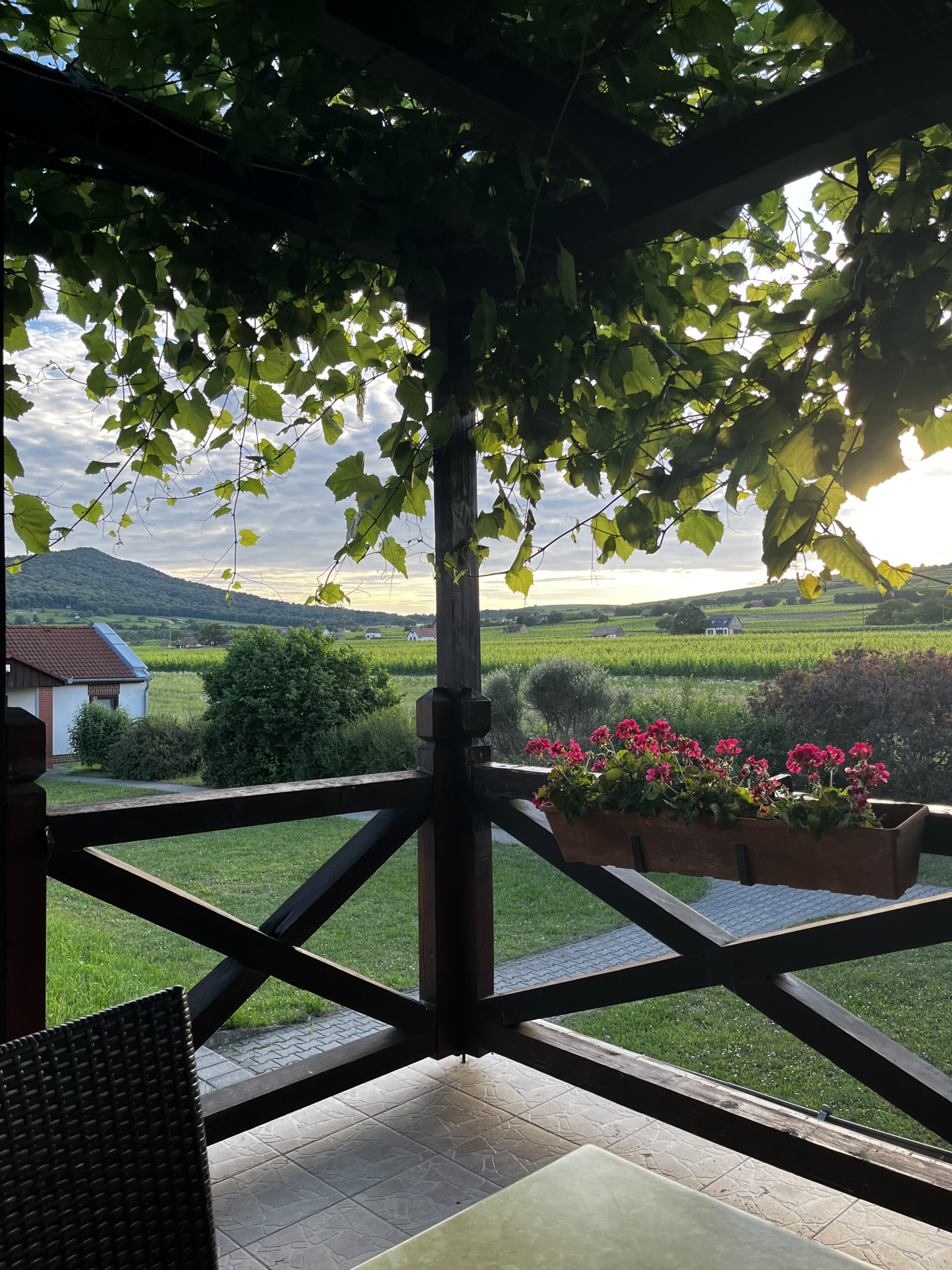 Környezet