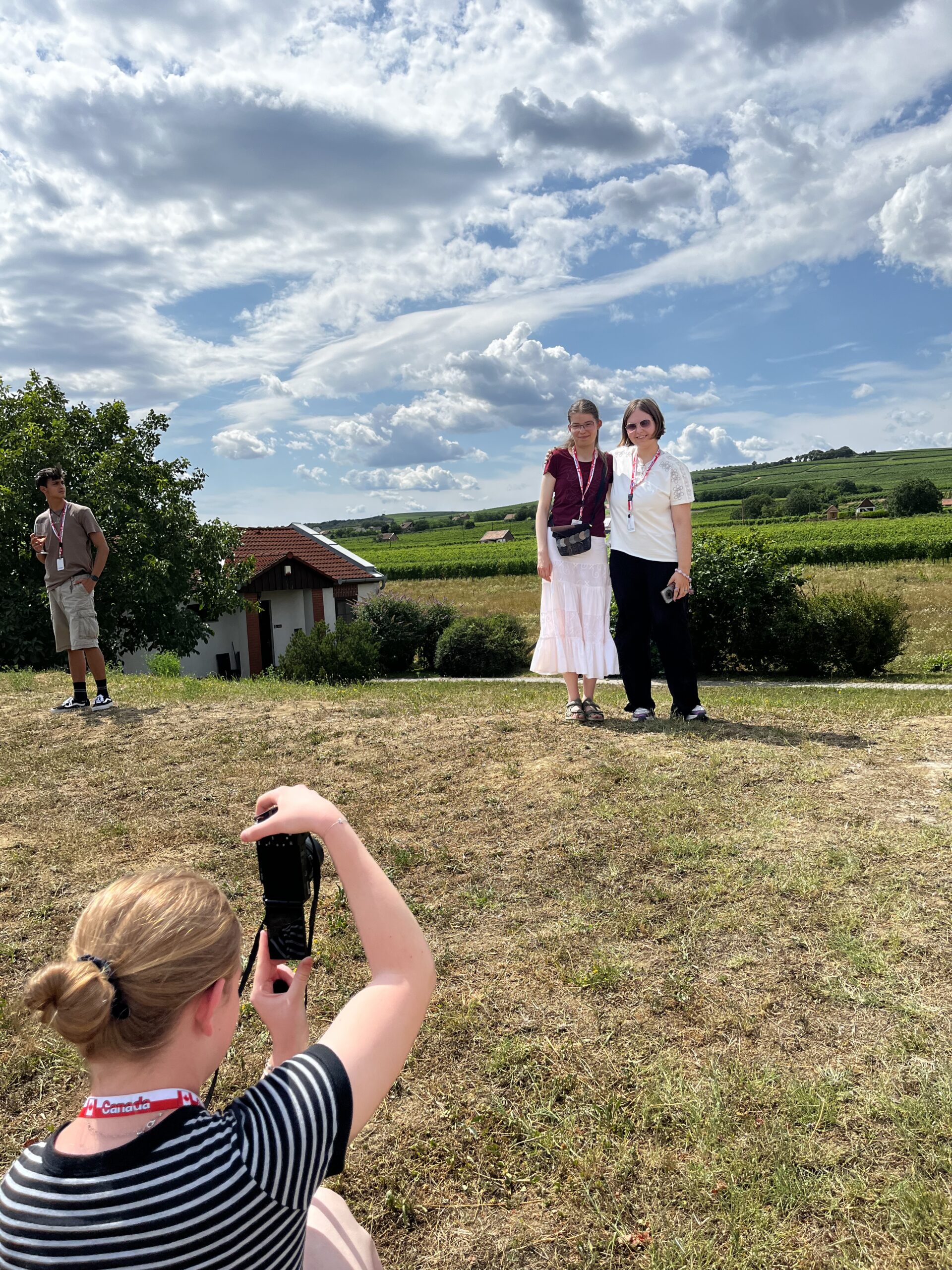 Tiffan Dűlő