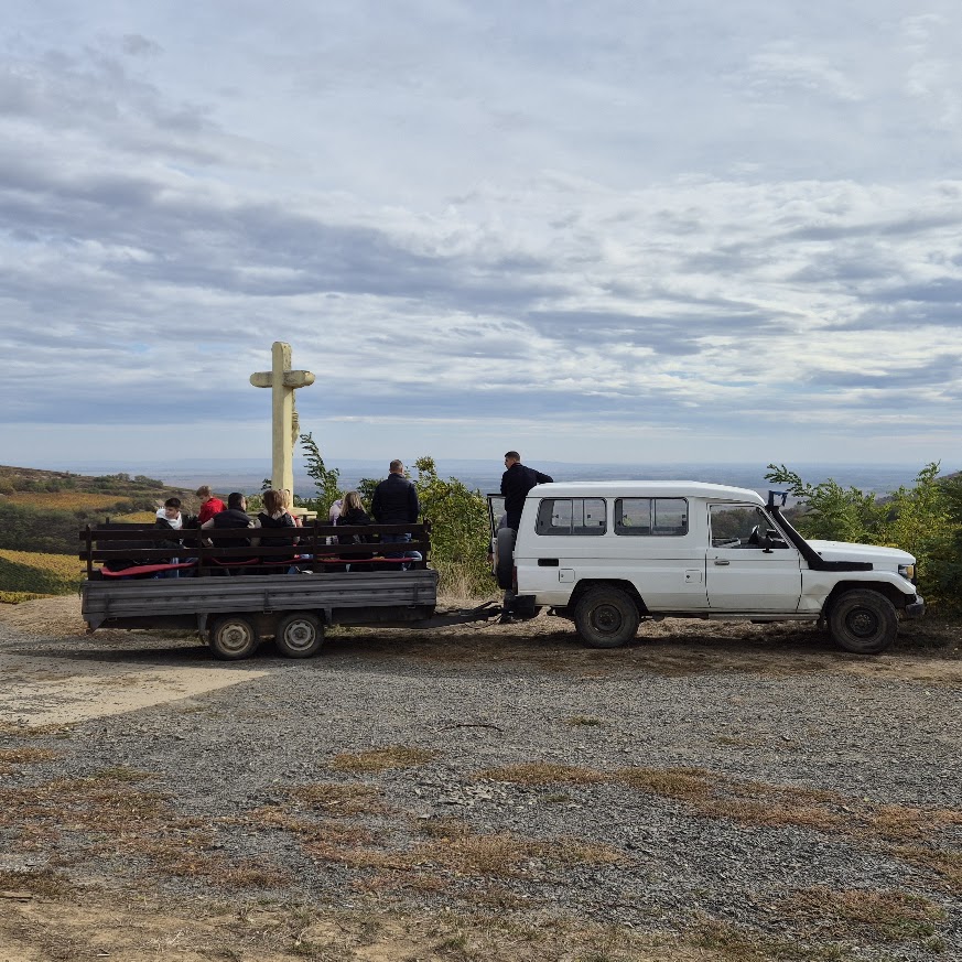 Wineyard Safari - Exkluzív Dűlőszafari Villányban