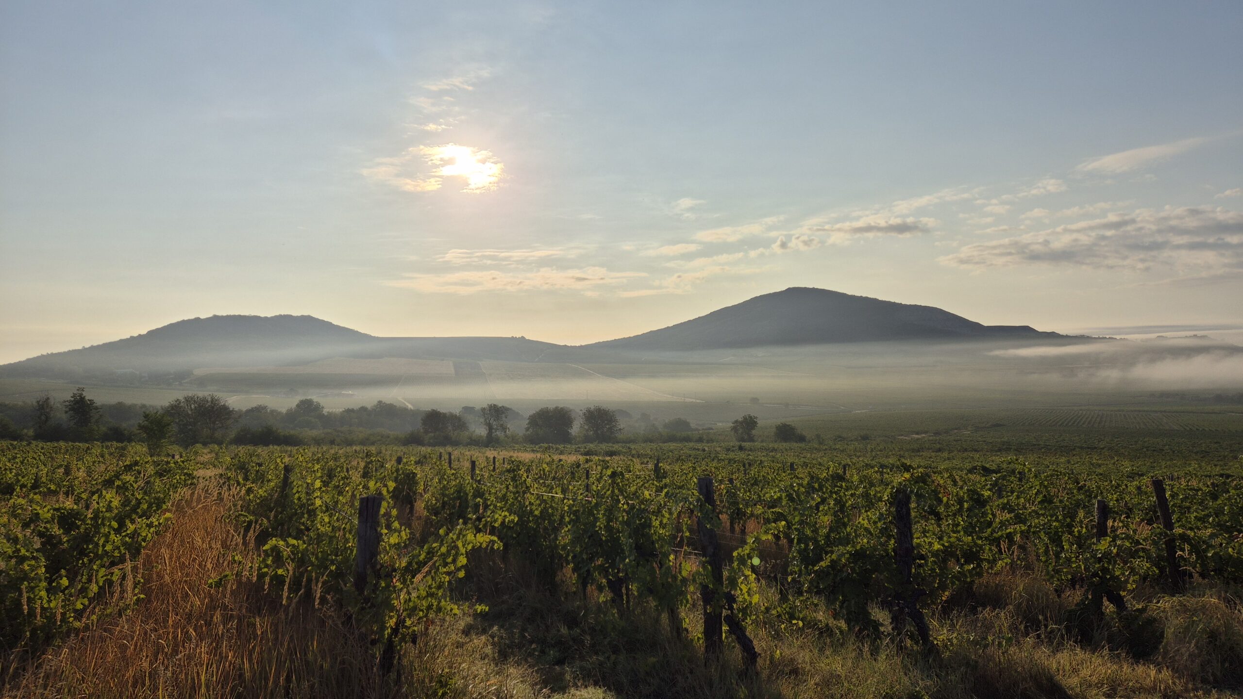 Villányi Hegy