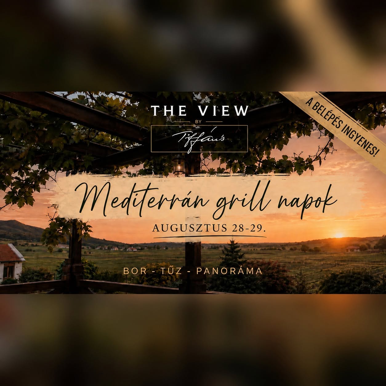 THE VIEW by Tiffán's