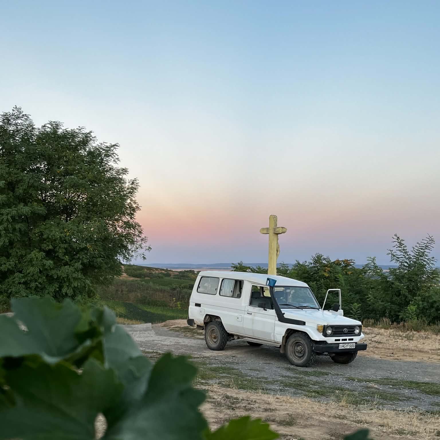 Wineyard Safari Tiffán Pincészet